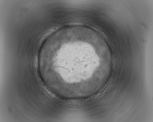 X0000113120729200909251112