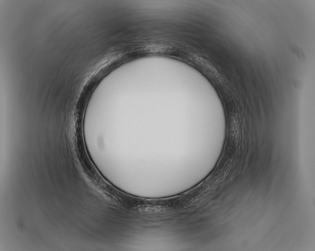 X0000113120730200909251112