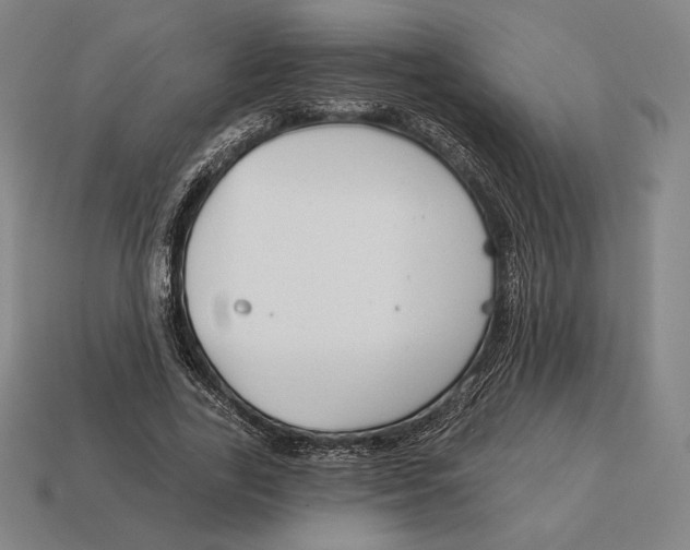 X0000113120731200909251112