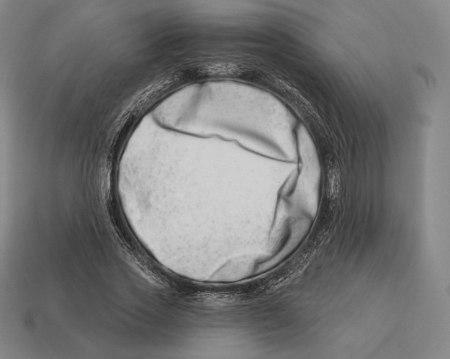 X0000113120733200909251112