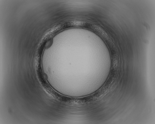 X0000113120736200909251112