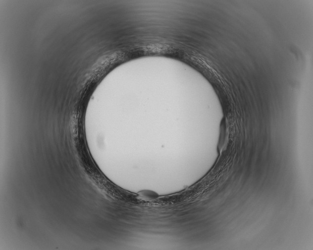 X0000113120738200909251112
