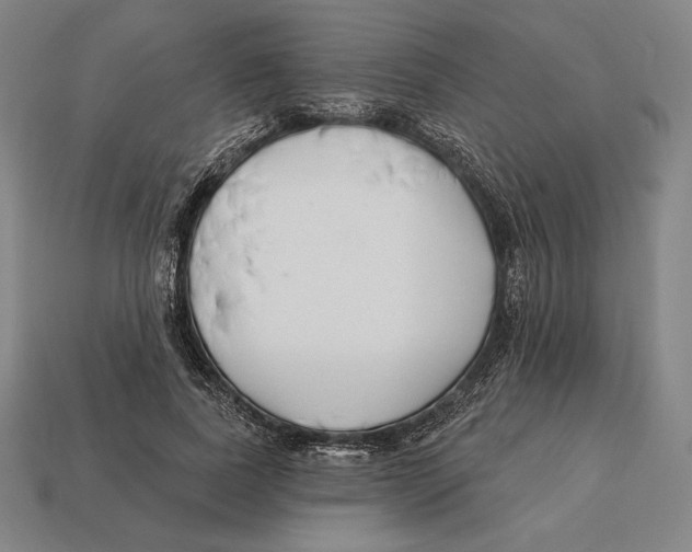 X0000113120739200909251112