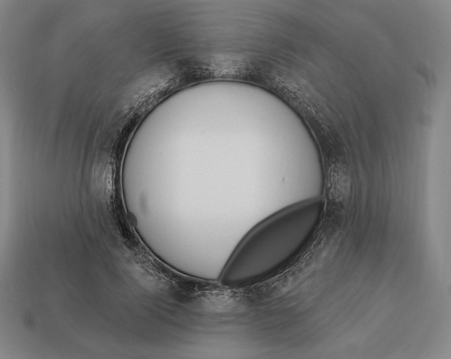 X0000113120740200909251112
