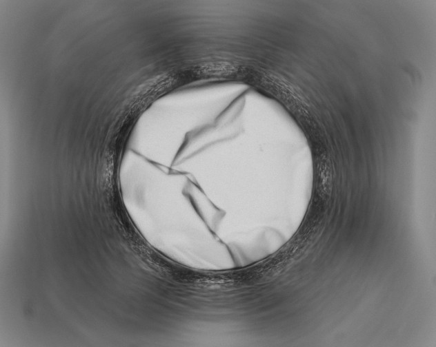 X0000113120745200909251112