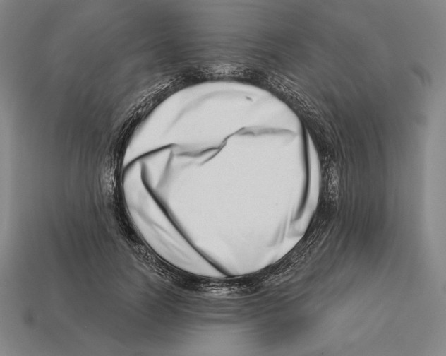 X0000113120746200909251112