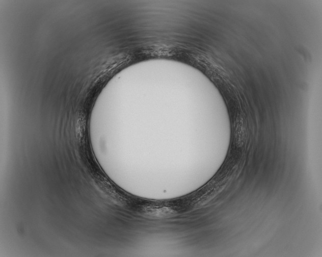 X0000113120747200909251112