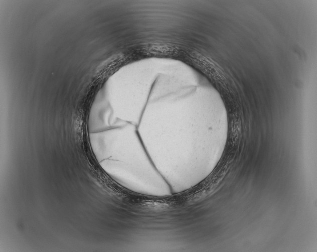 X0000113120749200909251112