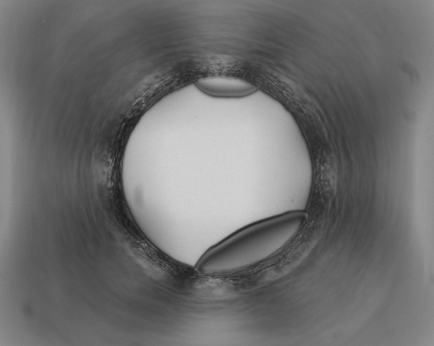 X0000113120750200909251112