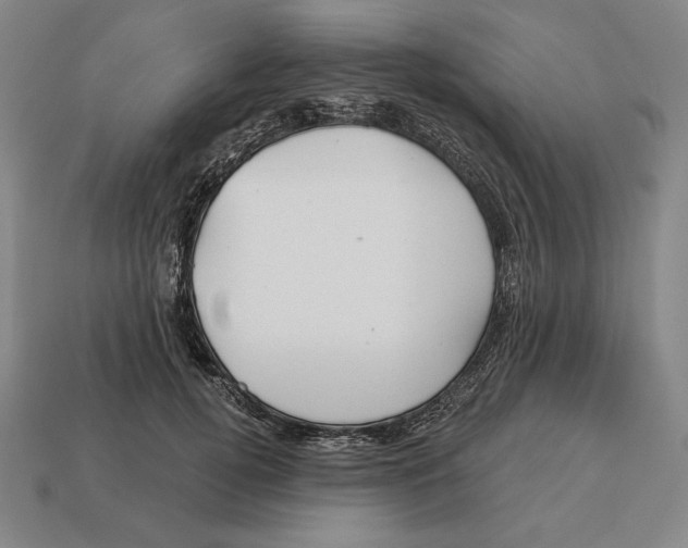 X0000113120752200909251112