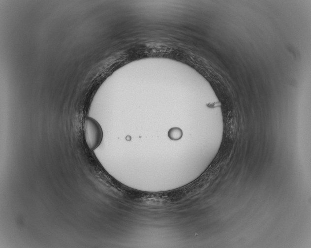 X0000113120756200909251112