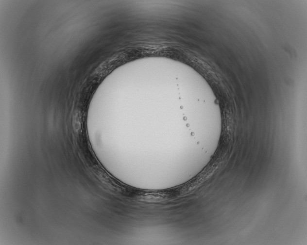 X0000113120758200909251112