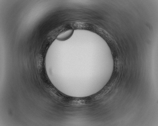 X0000113120760200909251112