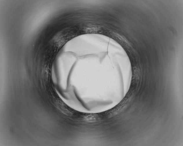 X0000113120761200909251112