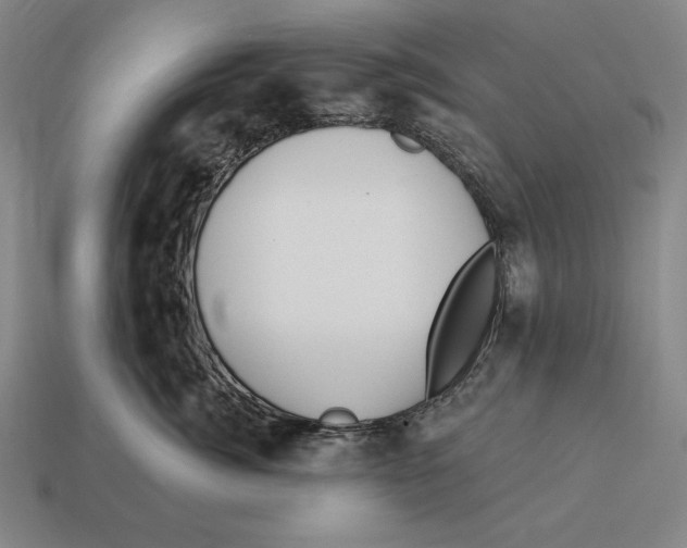 X0000113120764200909251112