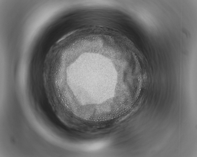 X0000113120765200909251112