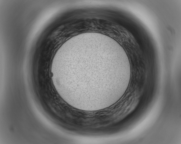X0000113120766200909251113