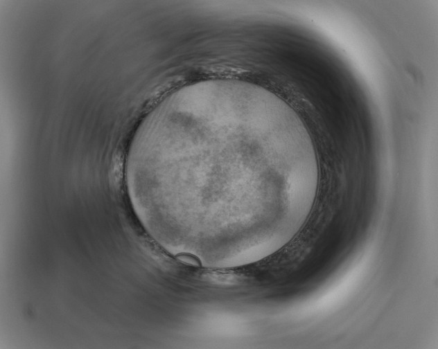 X0000113120767200909251113