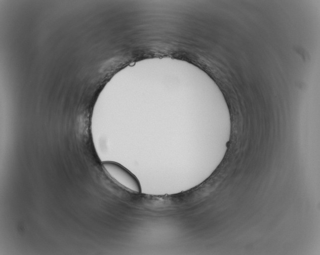 X0000113120768200909251113