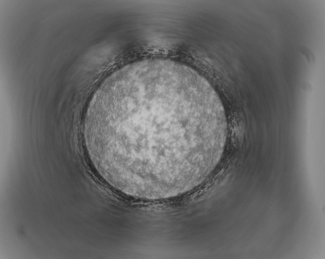 X0000113120769200909251112