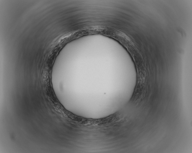 X0000113120773200909251112