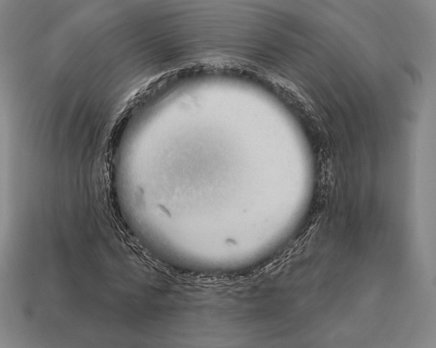 X0000113120776200909251112