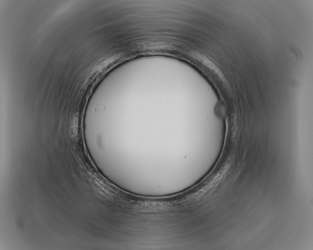 X0000113120777200909251112