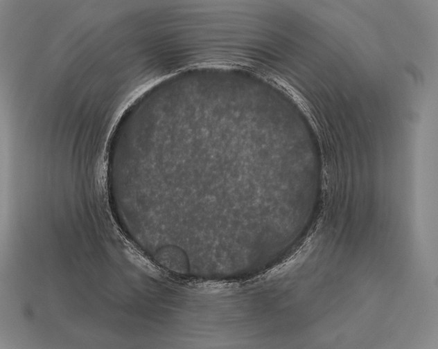 X0000113120779200909251112