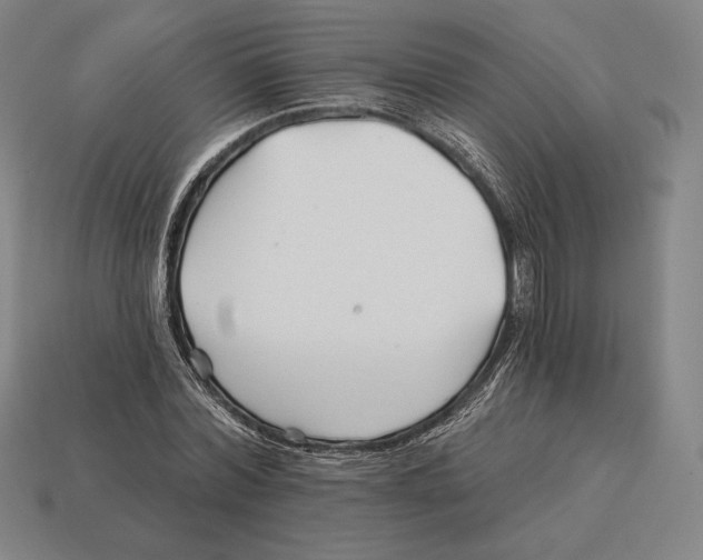 X0000113120780200909251112