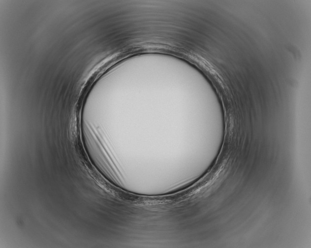 X0000113120782200909251112