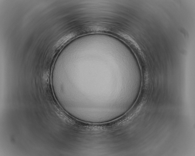 X0000113120785200909251112
