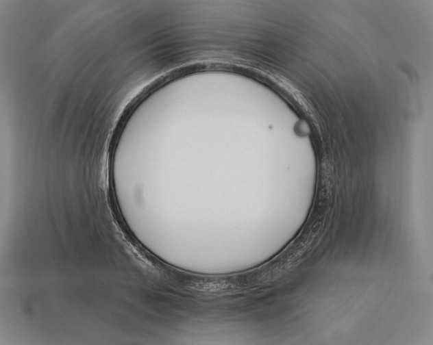 X0000113120791200909251112
