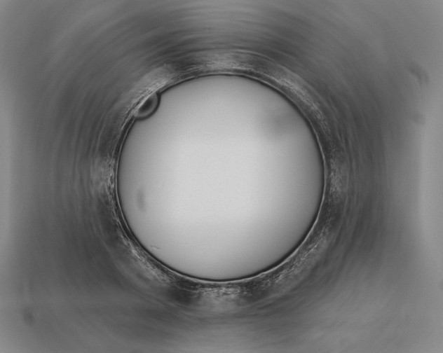 X0000113120793200909251112