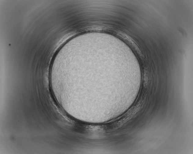 X0000113120794200909251112