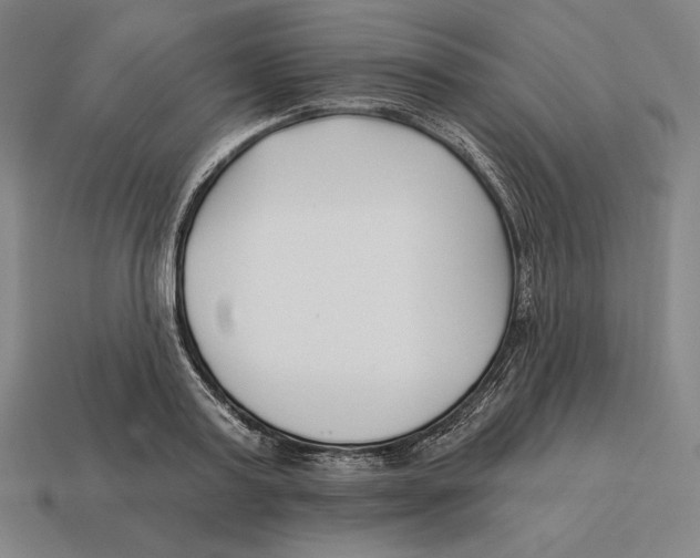 X0000113120795200909251112