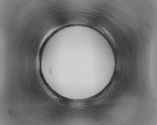 X0000113120796200909251112