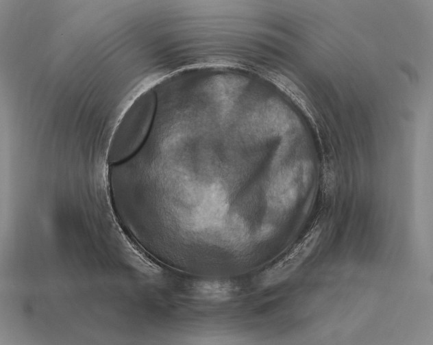 X0000113120797200909251112
