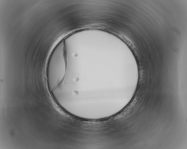 X0000113120800200909251112