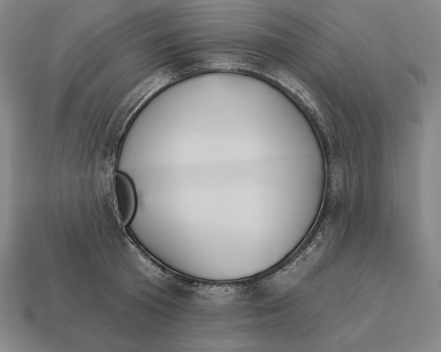 X0000113120801200909251112