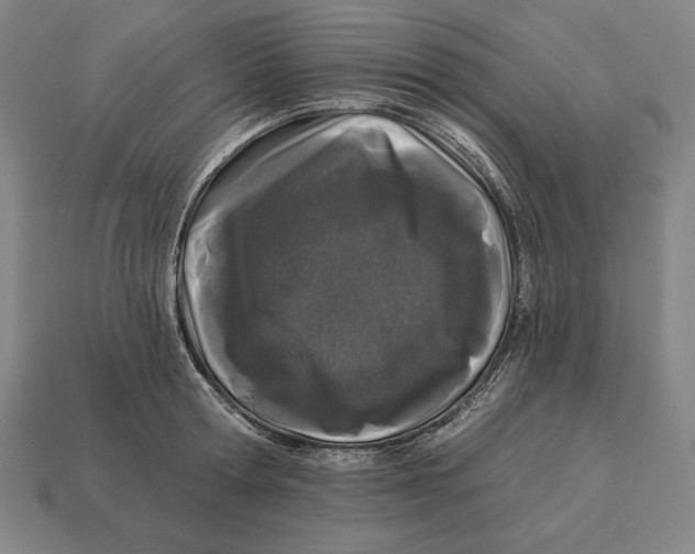 X0000113120802200909251111