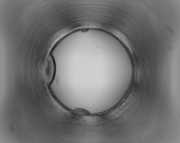 X0000113120805200909251111