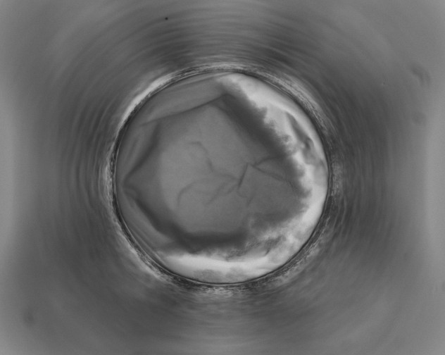 X0000113120806200909251111