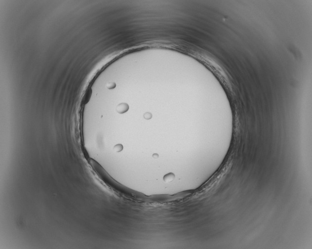X0000113120808200909251111
