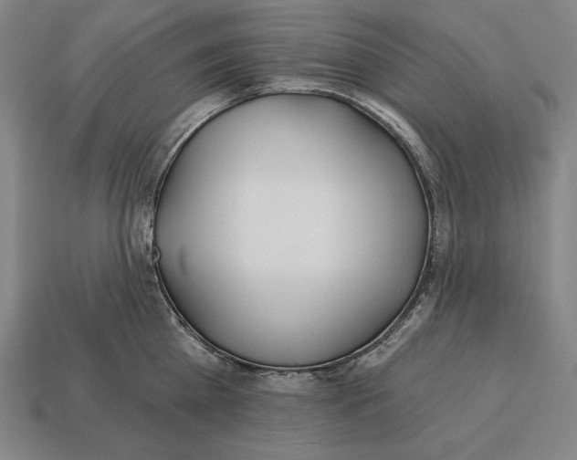X0000113120809200909251111
