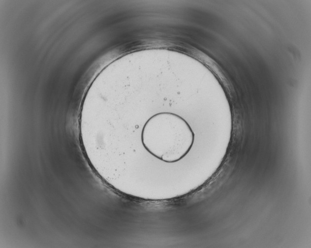 X0000113120810200909251111