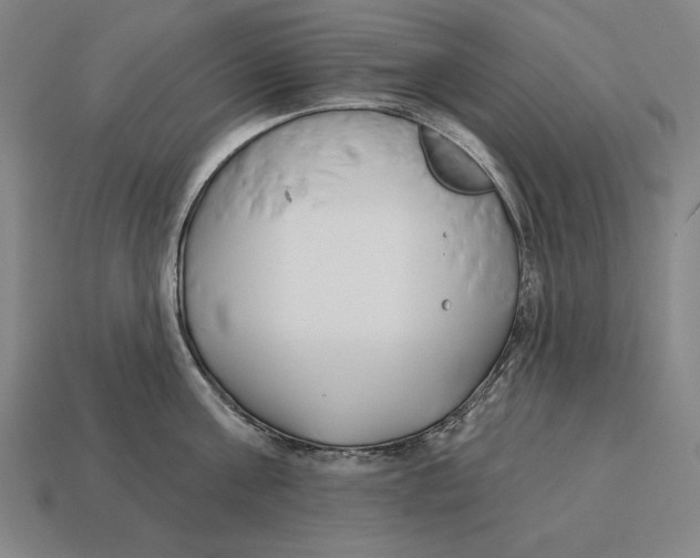 X0000113120811200909251111