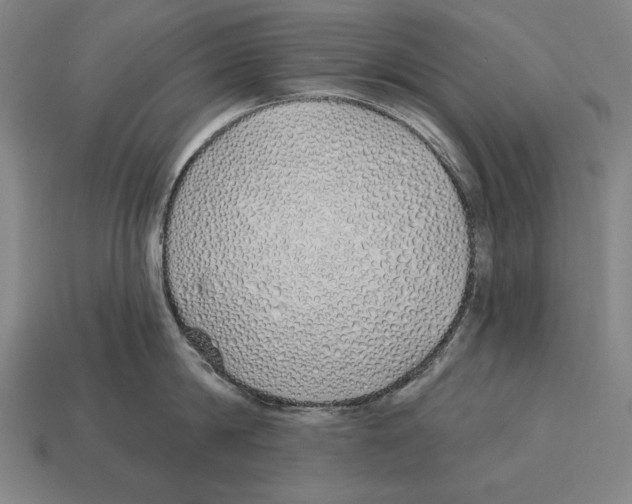 X0000113120814200909251111