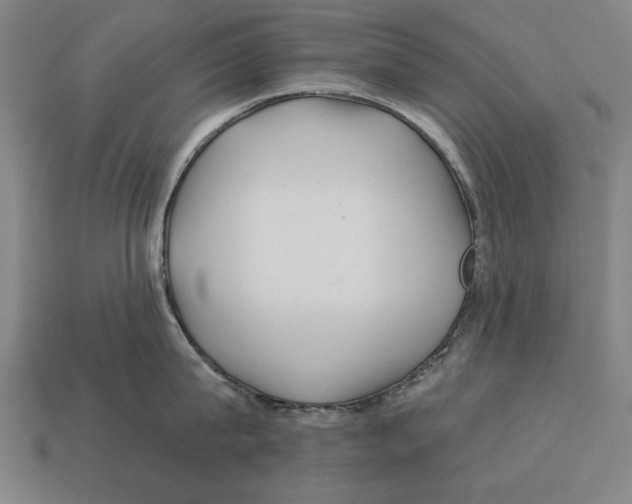 X0000113120815200909251111