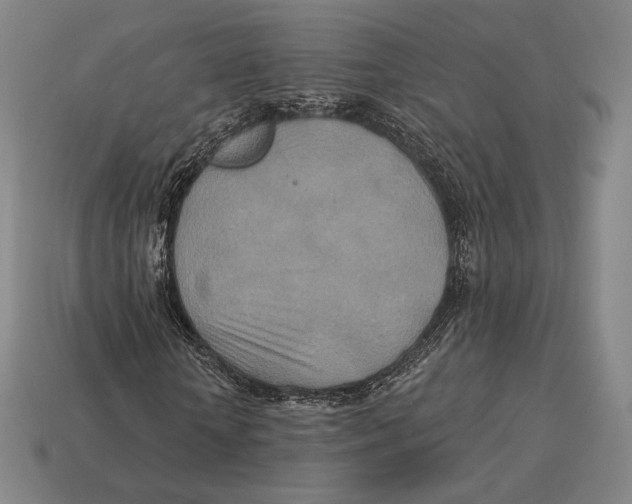 X0000113120818200909251111
