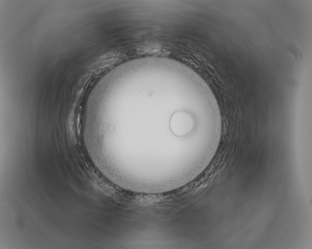 X0000113120820200909251111
